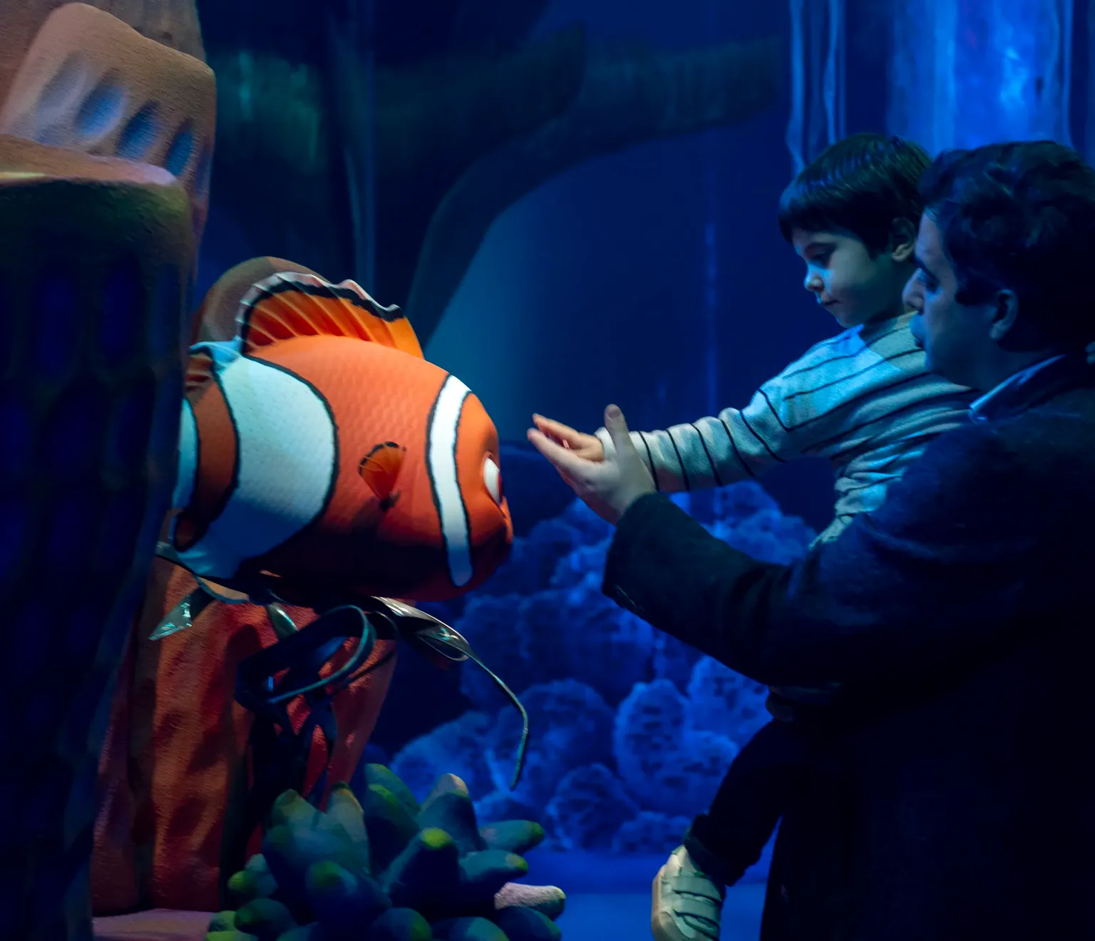 nemo-2-1536x1320.webp